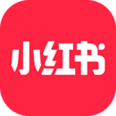净先生袜子价格