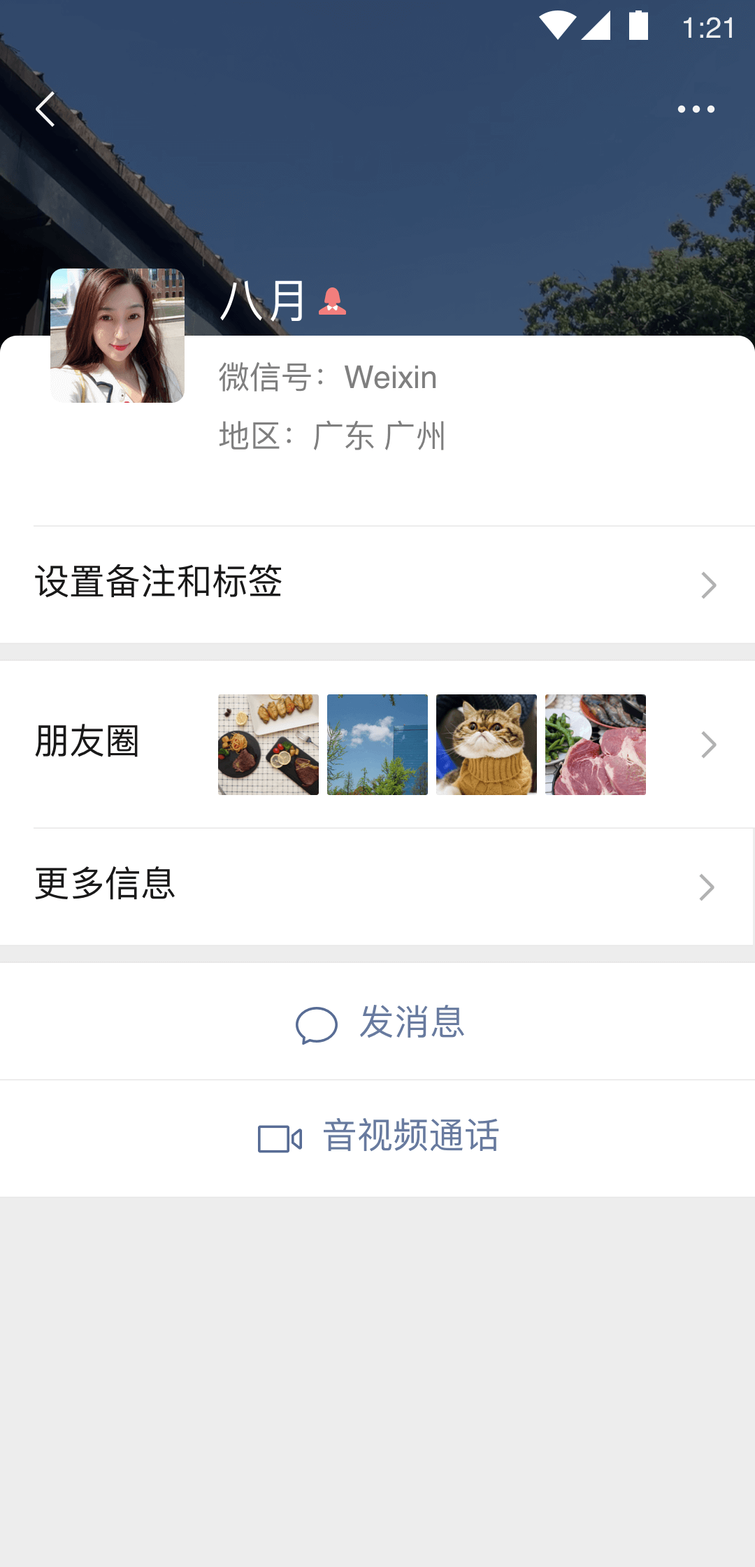 mavka截图